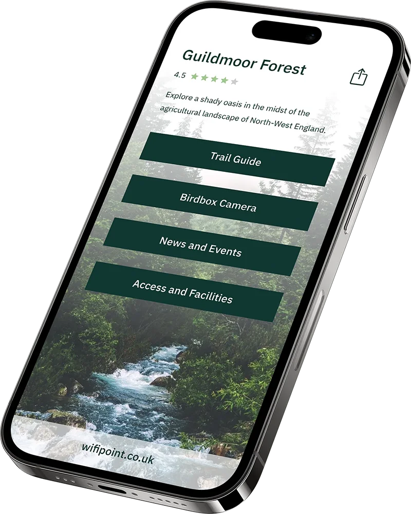 phone mockup showing wifipoint content